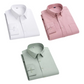 Combo of 3 Cotton Shirt for Man ( White,Pink and Pista ) - Frankshop.in